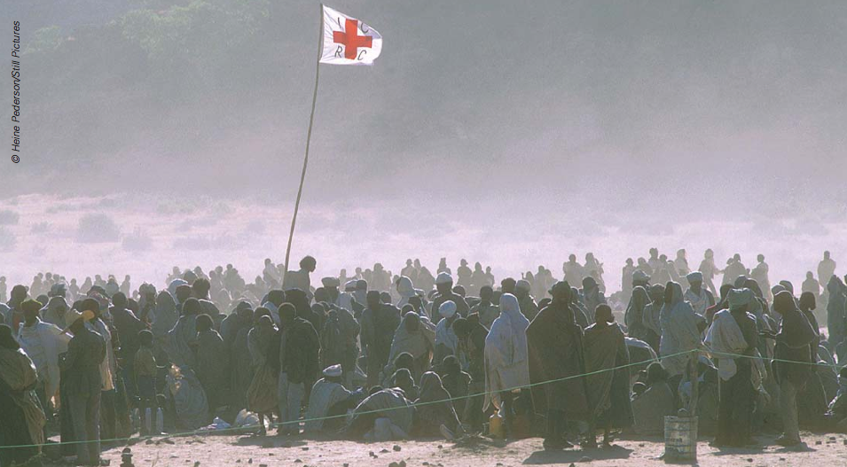 cover of report into environmental migration