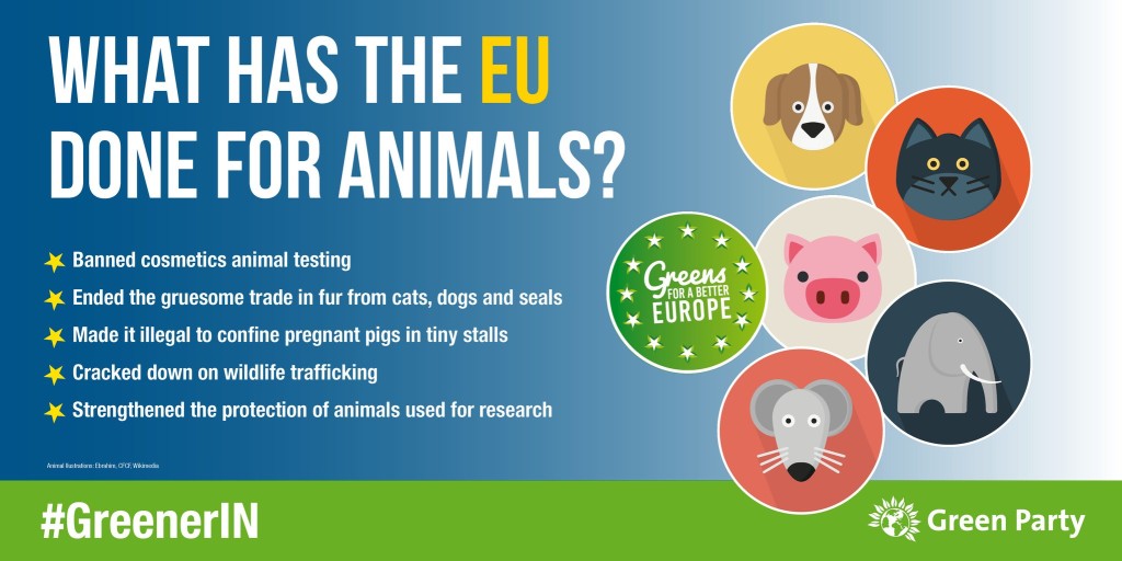 animals-graphic