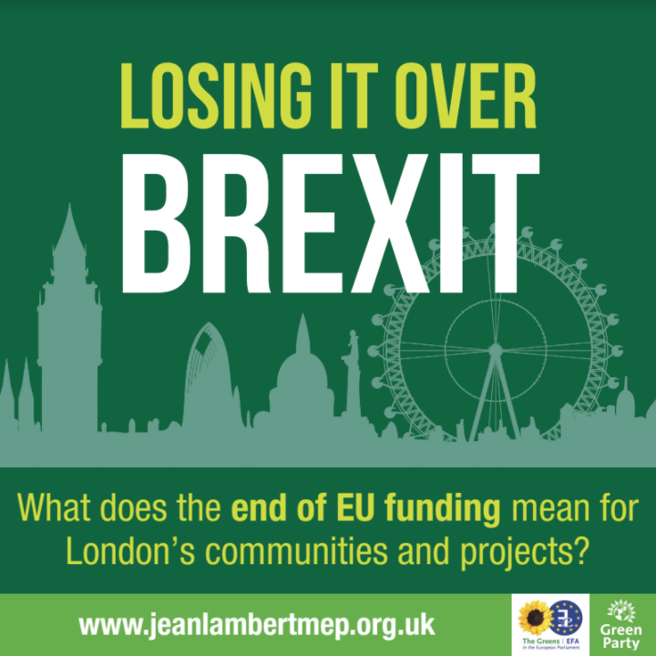 Losing it over Brexit image